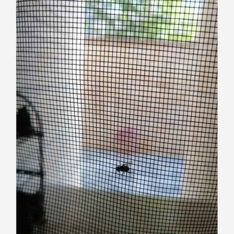 پرده توری مغناطیسی