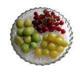 اردوخوری ۳ خانه زنگان