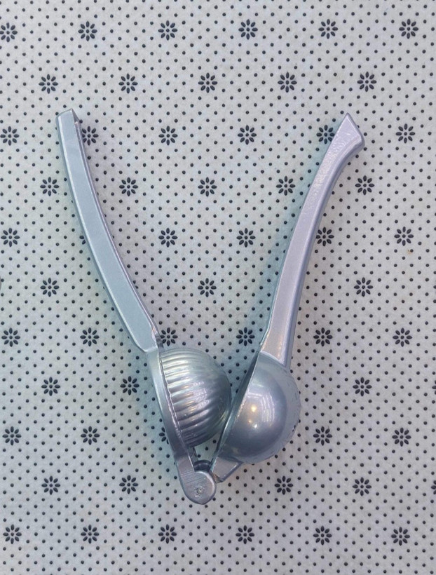 آب پرتقال مرکبات گیری بزرگ اسکاوا